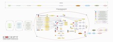 Tomato Life Cycle Production Map Sustainable Food